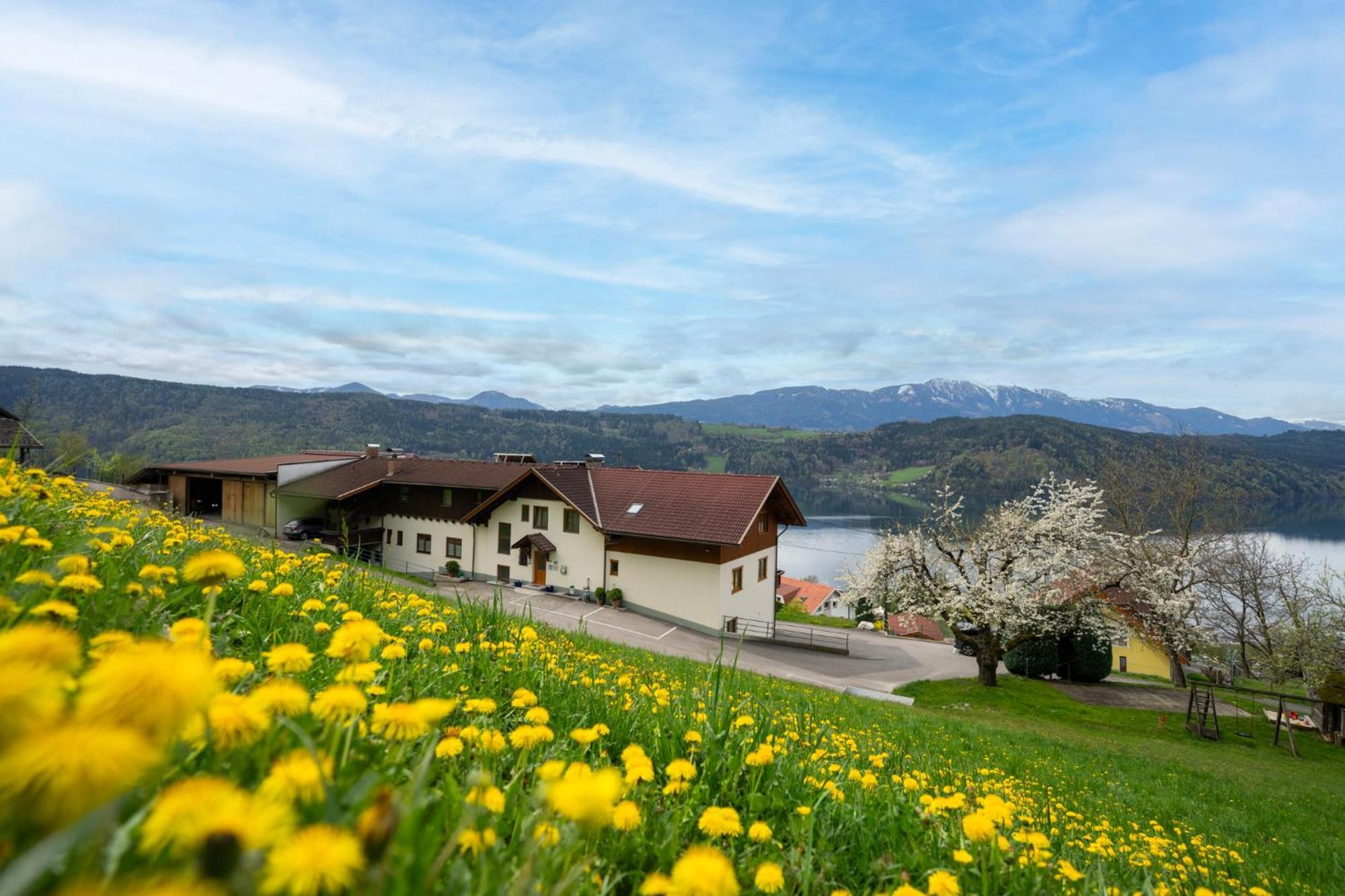 Frühstückspension Götzfried-Hof Millstatt am See Exterior foto
